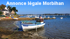 banniere morbihan